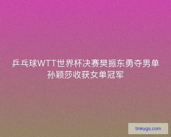 乒乓球WTT世界杯决赛樊振东勇夺男单孙颖莎收获女单冠军